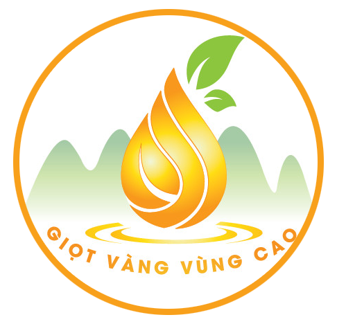 Giọt Vàng Vùng Cao